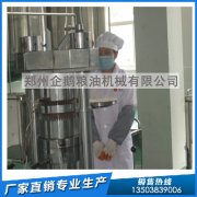 米糠油浸出設(shè)備，企鵝機(jī)械生產(chǎn)健康食用油
